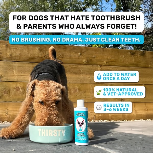 This ad features a dog drinking from a bowl, highlighting a water additive product that cleans teeth without the need for manual brushing.